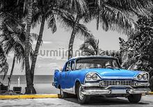Bleu cabriolet op palmbeach fotobehang Kleurmijninterieur kinderkamer jongens 