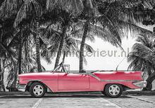 Pink cabriolet fotobehang Auto - Transport Kleurmijninterieur