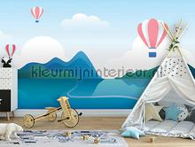 Lake balloons papier murales Kleurmijninterieur Voitures Transport 