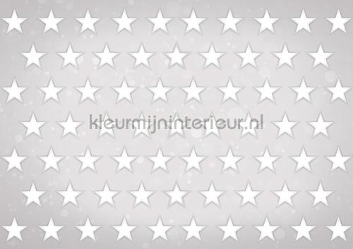 Stars white on grey background fotobehang Boys Kleurmijninterieur