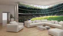 Stadion soccer fottobehaang Kleurmijninterieur _intrieur 