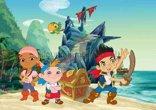 Jake and the neverland pirates fotomurali pirati Kleurmijninterieur