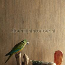 Barque mandarin behang CAB006 uni kleuren Khroma