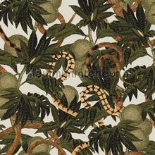 Equator jungle tapeten Khroma Cabinet of Curiosities CAB204