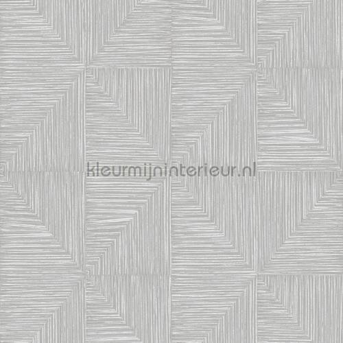 Verena feather behang CAB403 Modern - Abstract Khroma