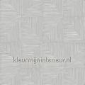Verena feather behang CAB403 Modern - Abstract Stijlen