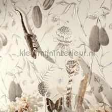 Papaya desert wallcovering Khroma Cabinet of Curiosities CAB601