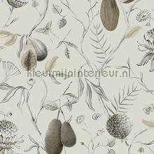 Papaya desert papel pintado Khroma Cabinet of Curiosities CAB601