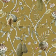 Papaya jungle wallcovering Khroma Cabinet of Curiosities CAB603