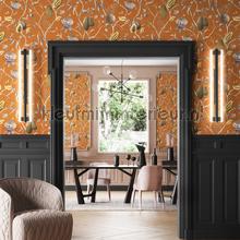 Papaya mandarin wallcovering Khroma Cabinet of Curiosities CAB604