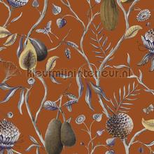 Papaya mandarin papel de parede Khroma Cabinet of Curiosities CAB604