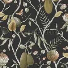 Papaya kombou wallcovering Khroma Cabinet of Curiosities CAB605