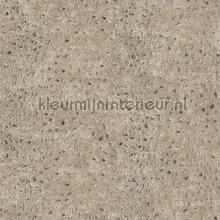 Tender desert papel de parede Khroma Cabinet of Curiosities CAB801