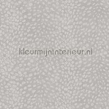 Tender moonlight papel de parede Khroma Cabinet of Curiosities CAB802