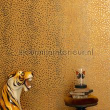 Tender jungle behang CAB804 Cabinet of Curiosities Khroma