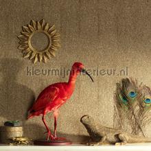 Iguana amber carta da parati Khroma Cabinet of Curiosities CAB904