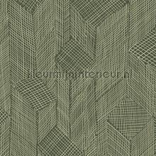 Shibam wallcovering Arte Cameo 66014