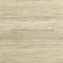 Capital 00 wallcovering DWC wood veneer 