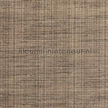 Capital 77 wallcovering DWC wood veneer 