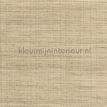 Capital 87 wallcovering DWC wood veneer 