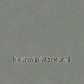 Bali kras en stootvaste stoere uni tapeten 27250 uni farben Motive