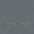 Bali kras en stootvaste stoere uni tapeten 27253 uni farben Motive