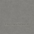 Bali kras en stootvaste stoere uni tapeten 27263 uni farben Motive