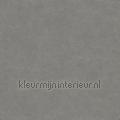 Bali kras en stootvaste stoere uni wallcovering 27263 plain colors Pattern