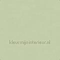 Bali kras en stootvaste stoere uni wallcovering 27268 plain colors Pattern