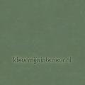 Bali kras en stootvaste stoere uni wallcovering 27276 plain colors Pattern