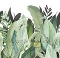 Panoramique tropical forest 27250 themen