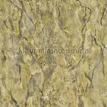 Corpo pietra marble papier peint Dutch First Class spcial 