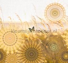 Mellow fotomurales Behang Expresse PiP studio wallpaper 