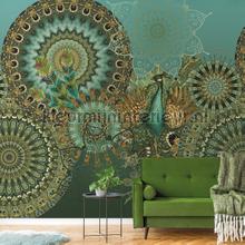 Behang Expresse Circle of Life vinilo decorativo