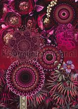 Mandala photomural Behang Expresse Trendy Hip 