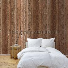 Mahdi wood photomural Behang Expresse world maps 