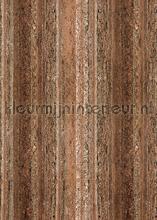 Mahdi wood photomural Behang Expresse world maps 