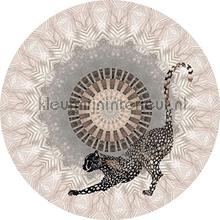 Mighty circle wallstickers Behang Expresse vindue stickers 