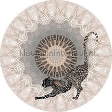 Mighty circle wallstickers Behang Expresse vindue stickers 
