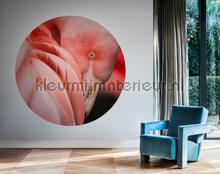 BN Wallcoverings Circles papier murales