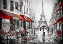 Paris in grey and red colors fotobehang Kleurmijninterieur Steden Gebouwen 