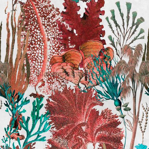Coral reef papier murales WP20299 Marine - Monde sous-marin Mindthegap