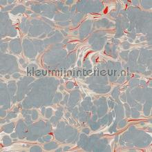 Marbled photomural Mindthegap world maps 