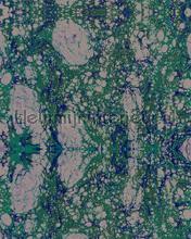 Marbled paper photomural Mindthegap world maps 