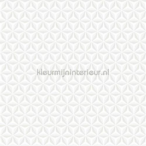  behaang L42400 bekant vur niks Dutch Wallcoverings