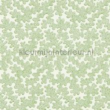 Zori Forest First Light behang Harlequin romantisch modern 