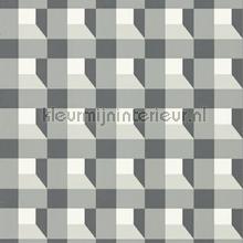 Blocks Black earth Diffused light tapeten Harlequin uni farben 