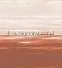 Manzara Brazilian Rosewood Bleached Coral fotomurales Harlequin todas las imgenes 
