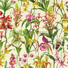 Kalina Parchment Forest Azalea papel de parede Harlequin quadrado 