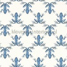 Wood frog Wild Water Chalk papel de parede Harlequin urbana 
